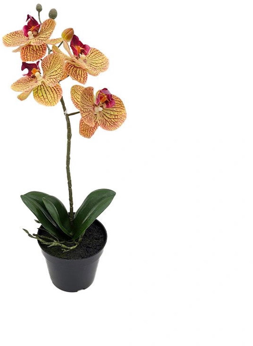 Buitengewoon Boet Phalaenopsis Orchidee in pot x1 50 cm Tiger Yellow kunstplant Buite... geel