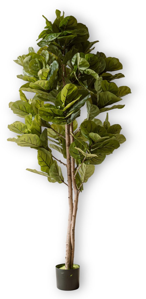 Kunstplant Vijg 150 cm – Indore Silva – Ficus – Grote Kunst Kamerplant – Onderhoudsvrij