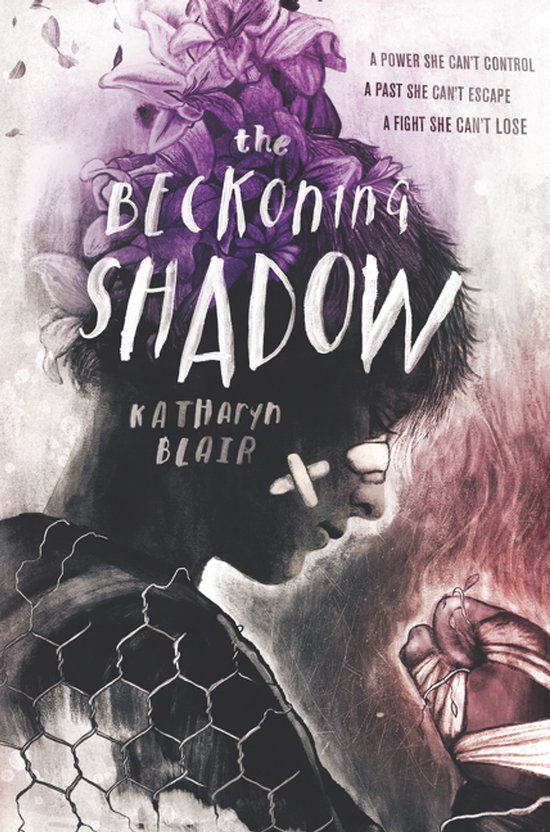 Beckoning Shadow, The Series of Unfortunate Events - cover