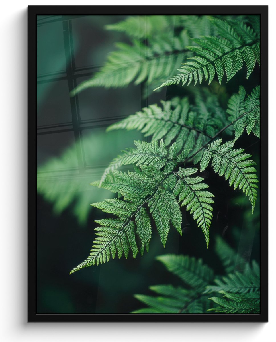 FrameYourWall Poster in lijst - Fotolijst 50x70 cm - Posters - Varenblad - Groen - Structuur - Wazig - Posterlijst zwart - Decoratie - Wanddecoratie woonkamer - Muurdecoratie slaapkamer