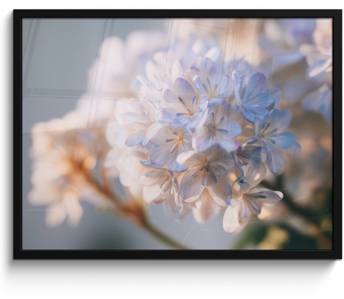 FrameYourWall Poster in lijst - Fotolijst 70x50 cm - Posters - Bloemen - Lichtblauw - Wazig - Trosje - Posterlijst zwart - Decoratie - Wanddecoratie woonkamer - Muurdecoratie slaapkamer
