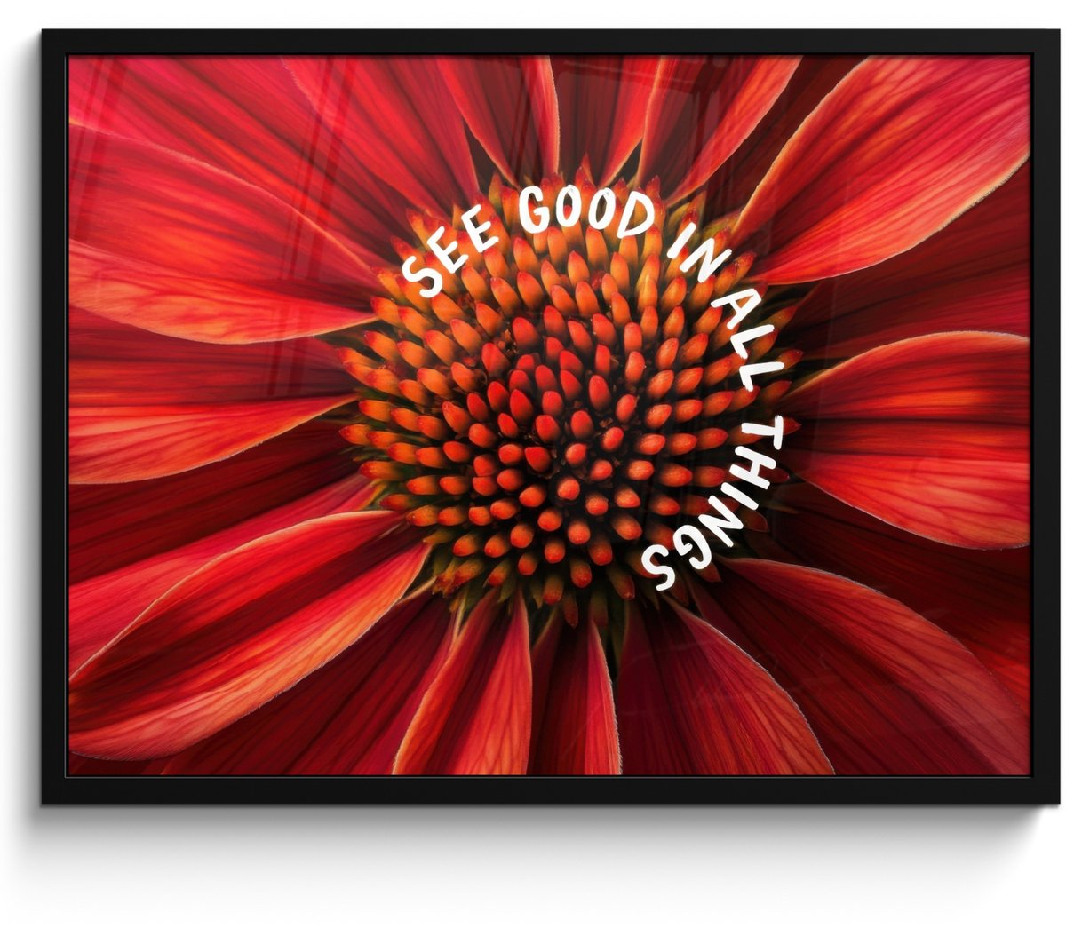 FrameYourWall Poster in lijst - Fotolijst 70x50 cm - Posters - Close up - Bloem - Quote - Rood - Posterlijst zwart - Decoratie - Wanddecoratie woonkamer - Muurdecoratie slaapkamer