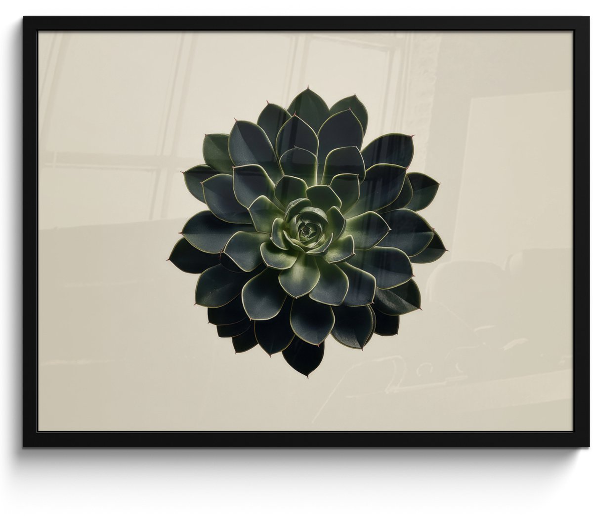 FrameYourWall Poster in lijst - Fotolijst 70x50 cm - Posters - Rozet - Cirkelvormig - Donkergroen - Posterlijst zwart - Decoratie - Wanddecoratie woonkamer - Muurdecoratie slaapkamer