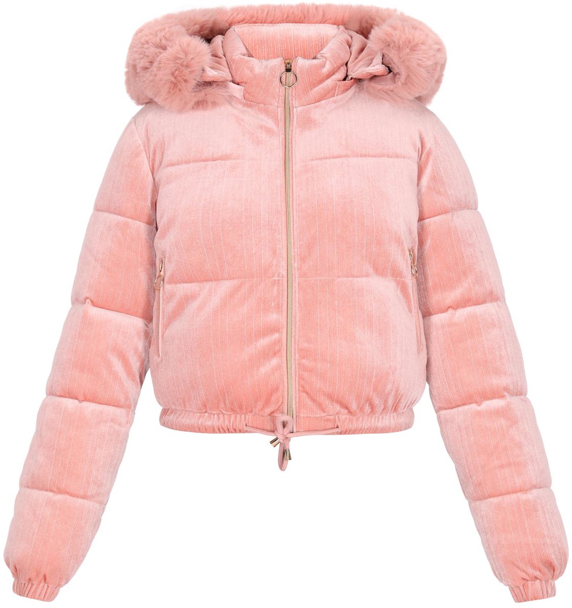 taddy jacket