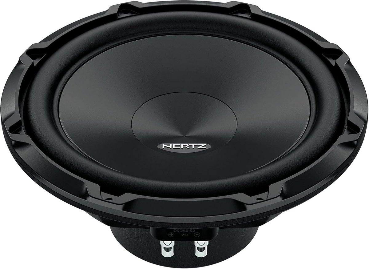 25 cm Subwoofer 600W 4 Ohm voor Krachtige en Diepe Basweergave