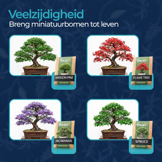 Vier miniatuurbomen: groene Masson Pine, rode Flame Tree, paarse Jacaranda en groene Spruce.