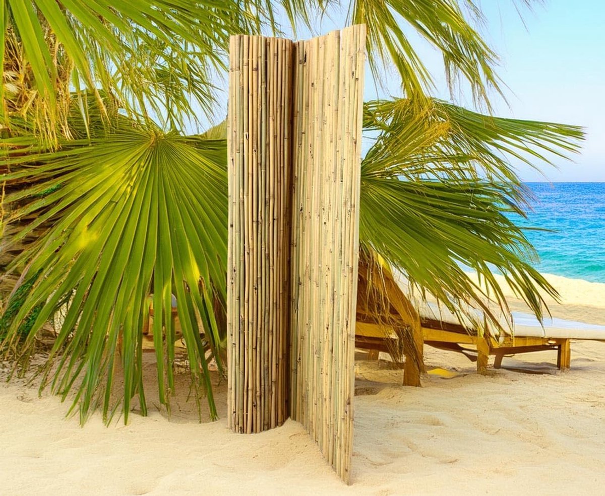 Extra Stabiele Bamboemat 250x300 cm met Hoge Zichtdichtheid