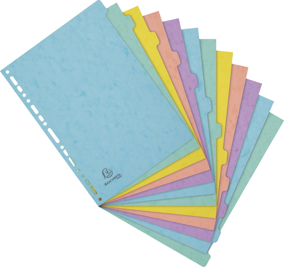 Exacompta 15x Tabbladen in glanskarton 400g/m2 Aquarel 12 verdelingen - A4 - Geassorteerd - 7712E