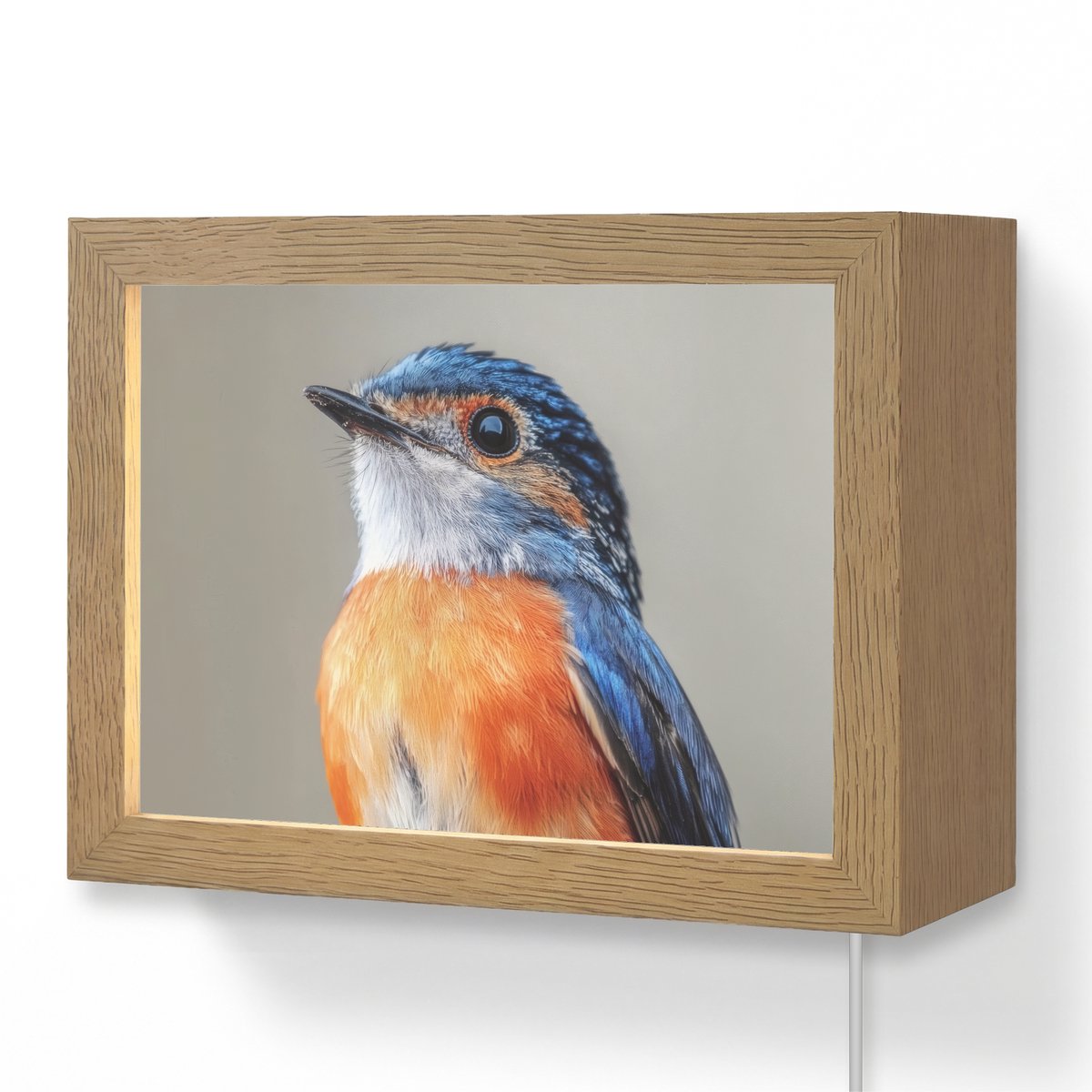 Wandlamp 20x15 cm - Oplaadbaar - Kleurrijk - Vogeltje - Veren - Blauw - Wandlampen binnen 
