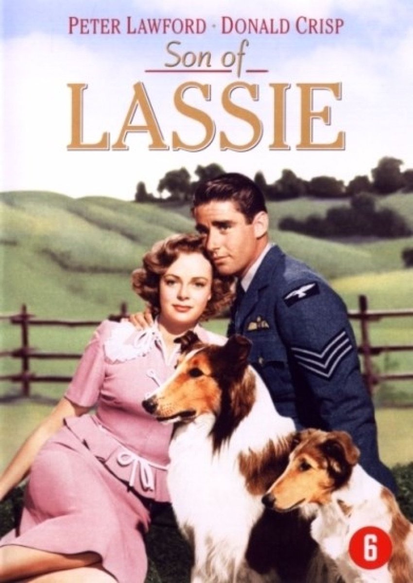 Son Of Lassie