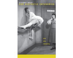 Our Aesthetic Categories