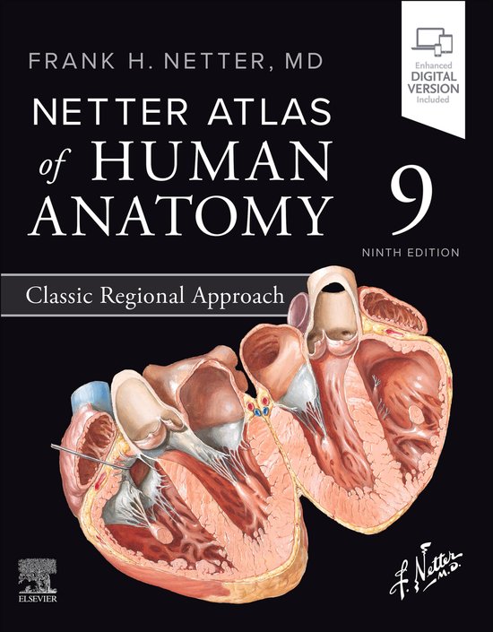 Netter Basic Science - Netter Atlas of Human Anatomy: Classi ... - cover