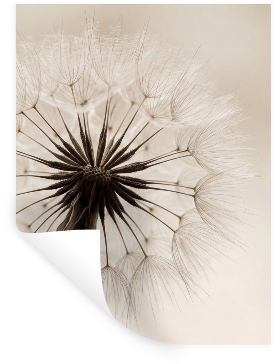 Muurstickers - Sticker Folie - Paardenbloem - Minimalistisch - Wit - 90x120 cm - Plakfolie