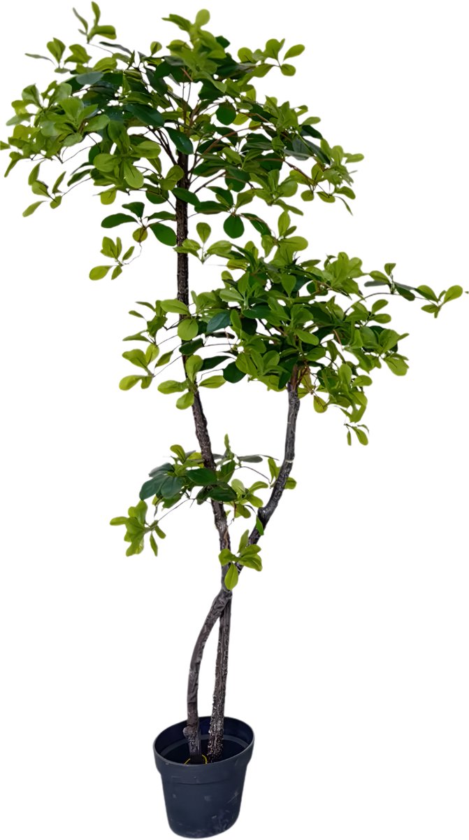 Happiq Kunstmatige Olijfboom 150/180 cm - Voor Thuiskantoor & Woondecor - Kunstzijde Boom met Natuurlijke Houten Stam, UV-Bestendig in Nep Pot - Groen-150cm Green