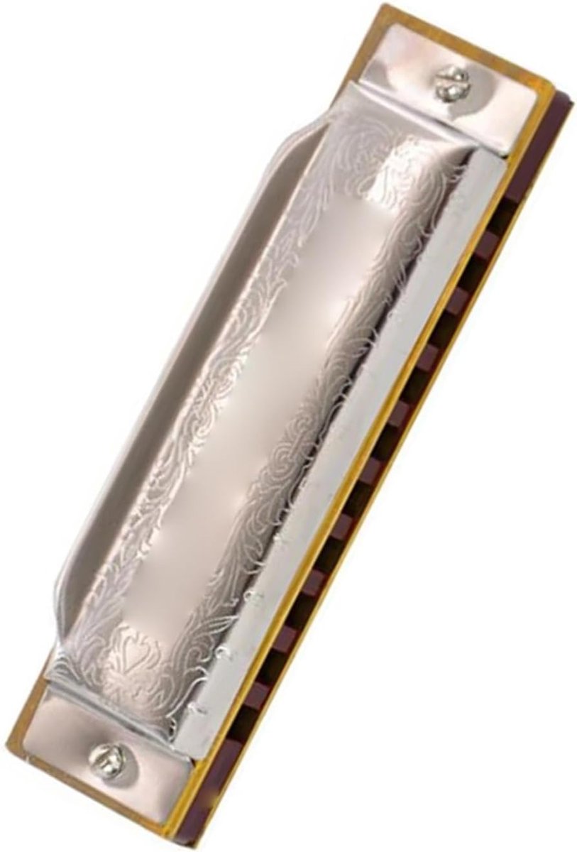 Diatonische Mondharmonica - Beginner Instrument - Muziek Maken - 10 Gaten Gestemd - Zilver