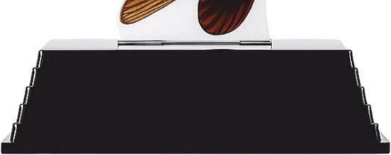 Vis Trofee - Karper Prijs - Viswedstrijd - Realistische Afbeelding - 20 cm - Natuurlijke kleuren — afbeelding 5