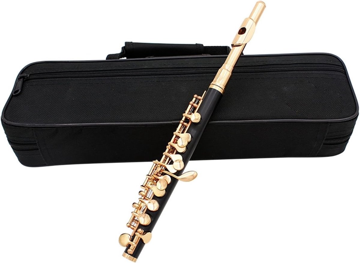 Beginners Fluit - Muziek Instrument - Muziek Maken - Professioneel Geluid - 31cm Lengte - Goud