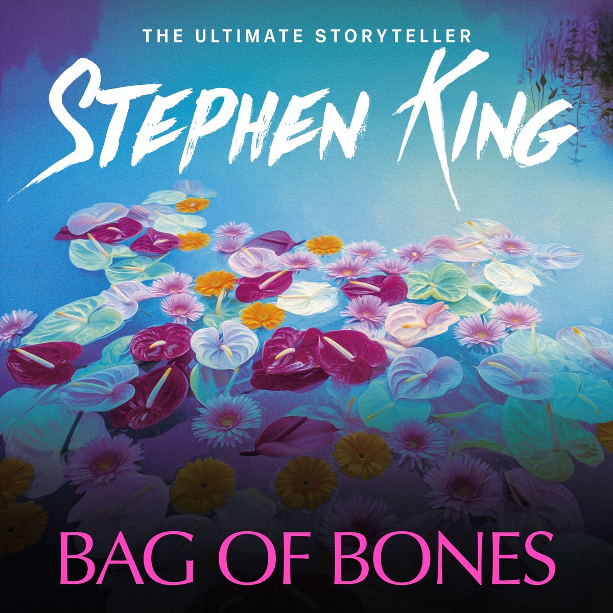 Omslag van Bag of Bones