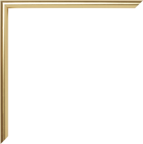 Fotolijst 70x90 cm - Kunststof - Goud - Angers