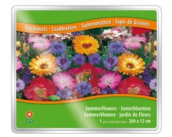 Groeipapier Zomerbloemen Mix - Zomerbollen - bloeit in Oktober / Juli / Augustus / September