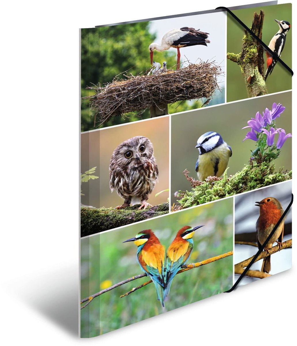 HERMA A4 Vogels Set van 3 Kinderhoekmappen van Karton met Dierenmotief, Elastiek, Binnenkleppen en Binnenopdruk voor Jongens en Meisjes
