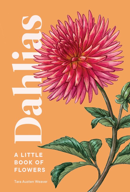 Dahlias - cover