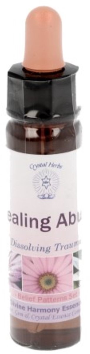 Goedkoopste 10 ml Healing Abuse - uit Belief Patterns Essences
