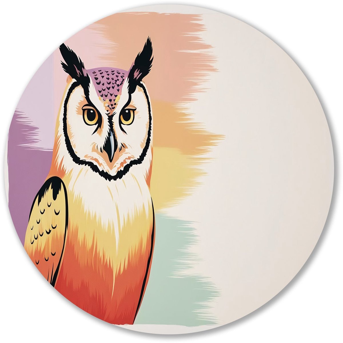 Kleurrijk minimalistisch ontwerp van uil - Uil rond schilderij - Wandschaal dier - Pop Art - Forex decoratie rond - Industrieel interieurkunst - muurcirkel forex 50x50 cm