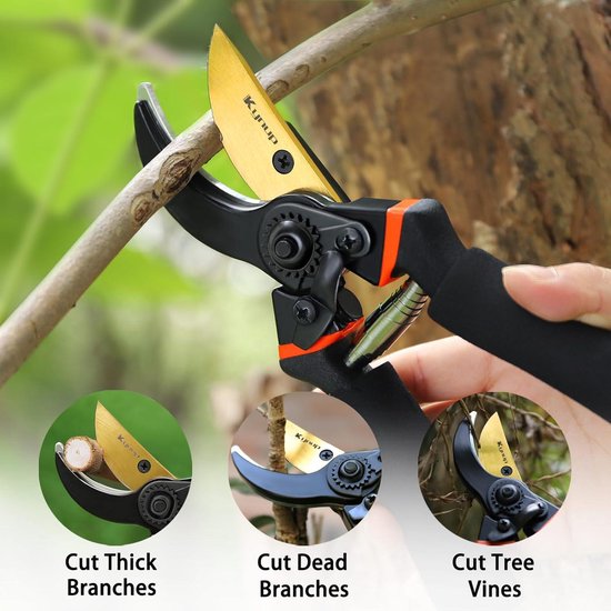 3-Piece Stainless Steel Pruning Shears Set with Glove for Fresh Branches, Bonsai Plants, Flowers, and Harvesting van Merkloos	 — afbeelding 3