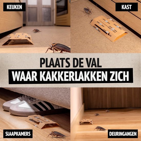 Montage van 4 afbeeldingen: kokervallen geplaatst in een keuken, kast, slaapkamer en deuropening, met kakkerlakken. Titel "PLAATS DE VAL WAAR KAKKERLAKKEN ZICH".