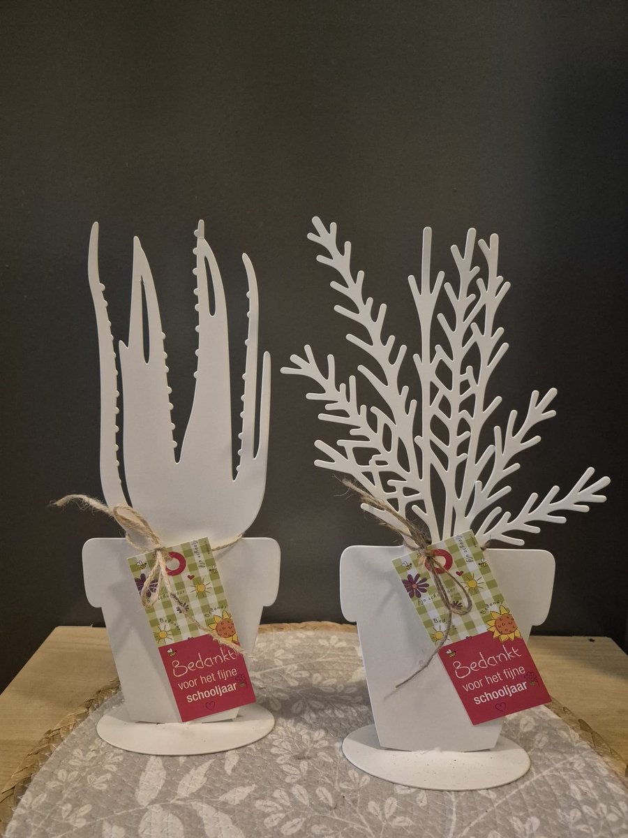 Bedankt voor het schooljaar cadeau/juf/meester/metalen plant/origineel