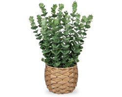 Ibenzoa® Kunstmatige Eucalyptusplant in Gevlochten Zeegras Pot - Realistische Decoratieve Groenvoorziening voor Thuis en Kantoor, 42 cm Hoogte
