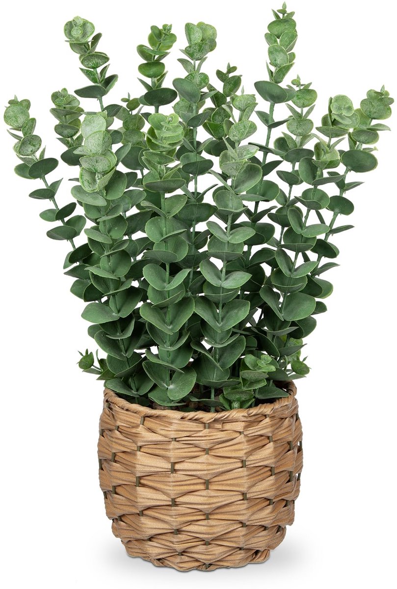 Ibenzoa Kunstmatige Eucalyptusplant in Gevlochten Zeegras Pot - Realistische Decoratieve Groenvoorziening voor Thuis en Kantoor, 42 cm Hoogte