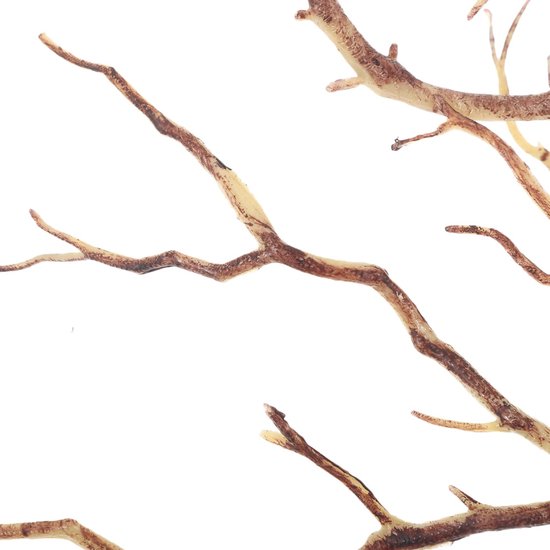 Aquarel Koraal Kaart Handgeschilderde Onderwater Frame Met Koraal Takken Geïsoleerd Op Een Witte