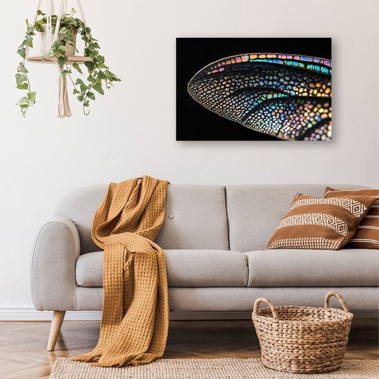 Iriserende libellevleugels macrofoto - Insect schilderij op glas - Wanddecoratie glas vleugels - Hyperrealisme - Plexiglas schilderijen - Kunst aan de muur - acrylglas 60x40 cm