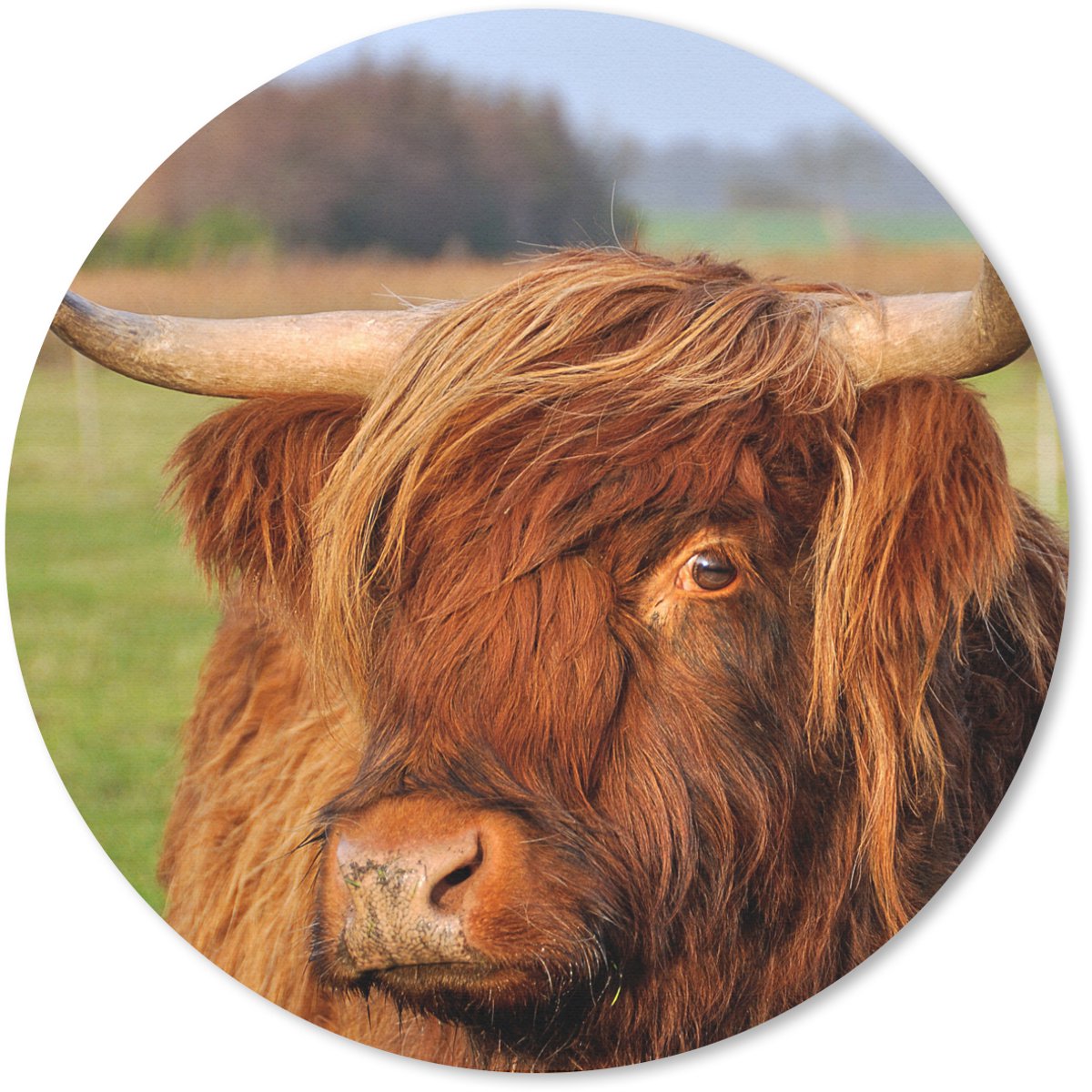 Muismat rond 30x30 cm - Mousepad Schotse Hooglander - Gras - Boom - Ronde muismatten
