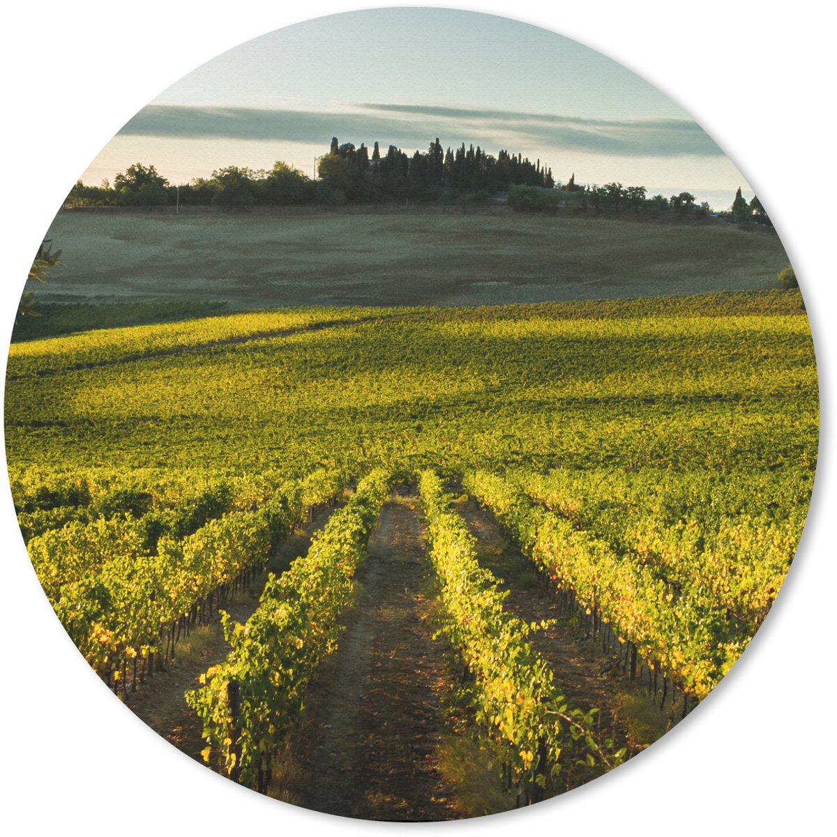 Muismat rond 30x30 cm - Mousepad Toscane - Landschap - Wijn - Ronde muismatten