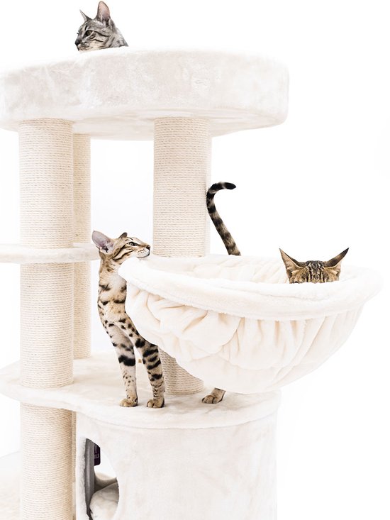 Arbre à chat Petrebels Isabella 170 Design - Crème - Qualité Premium - Arbre à chat XXL pour grands chats