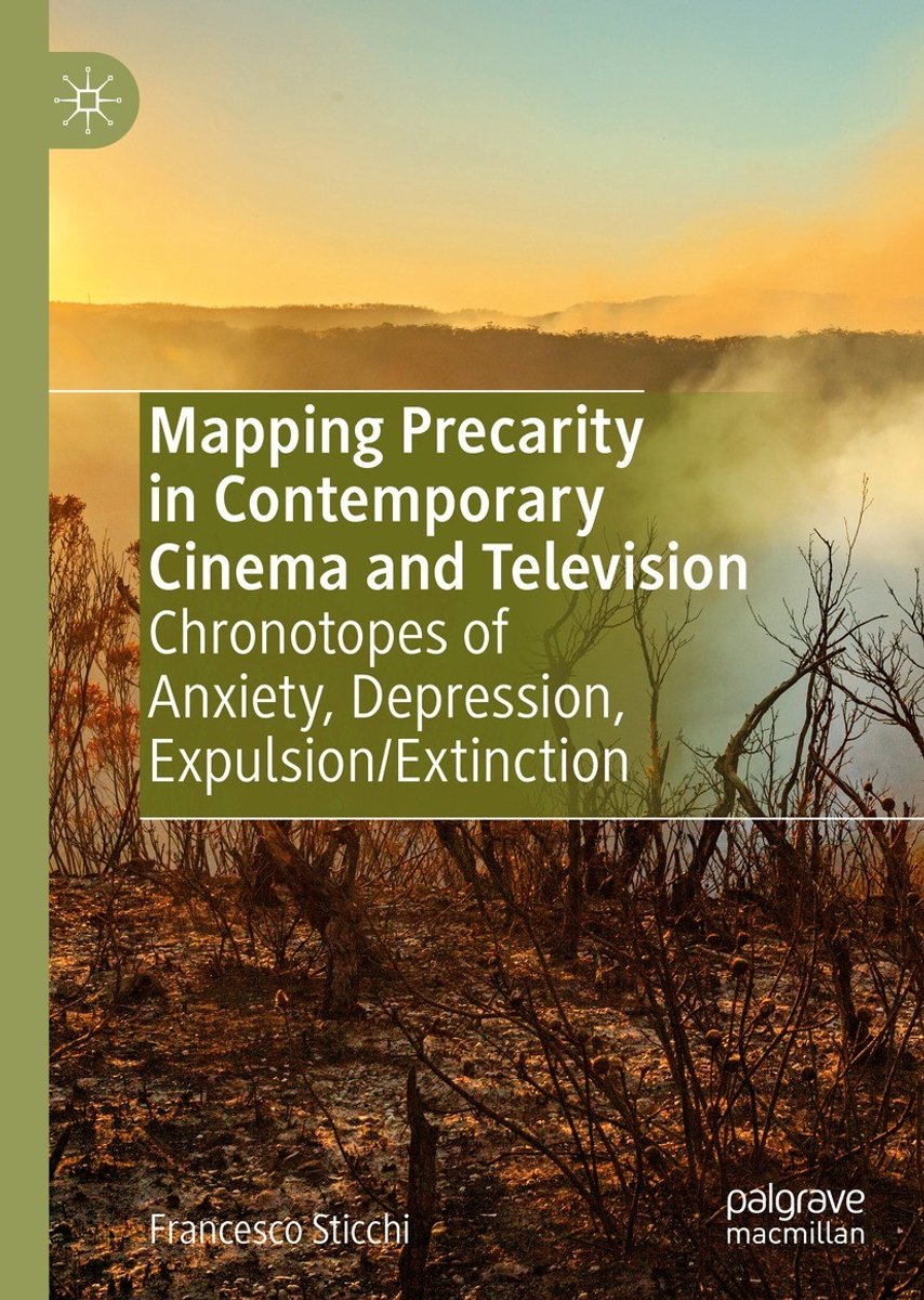 Mapping Precarity In Contemporary Cinema And Television van Francesco Sticchi