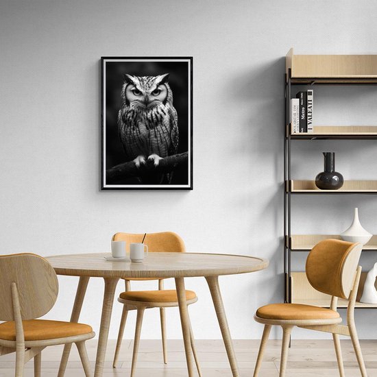 Hibou Poster | Noir|Wit Affiche | Animaux Poster | Affiche Nature | Vogel Poster | Photographie Affiche | Affiche sur la faune | 60x90cm | Décoration murale | Affiche murale | 5401KMD | Convient pour l'encadrement