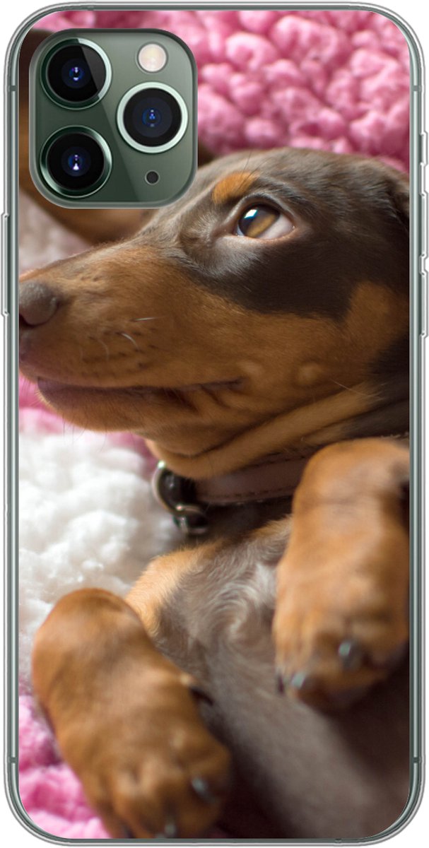 Telefoonhoesje Geschikt voor iPhone 11 Pro hoesje - Een Teckel puppy op een roze deken - Siliconen Telefoonhoesje Telefoonhoesje
