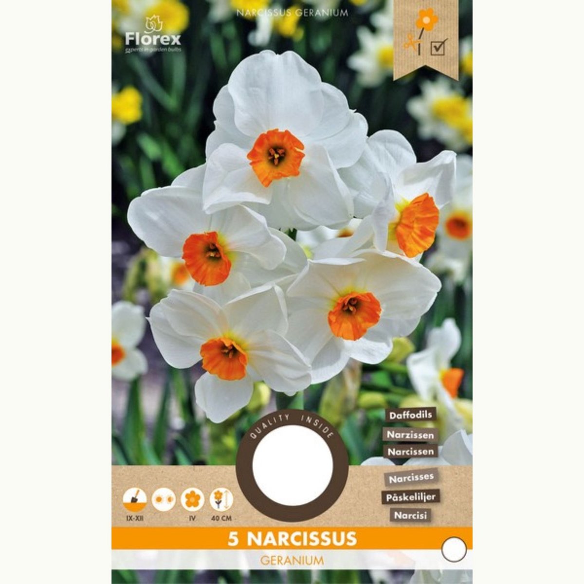 Narcis (Narcissus) - Geranium - sus - Snijbloemen - Geurend - Voorjaarsbollen - bloeit in Maart / April / Mei