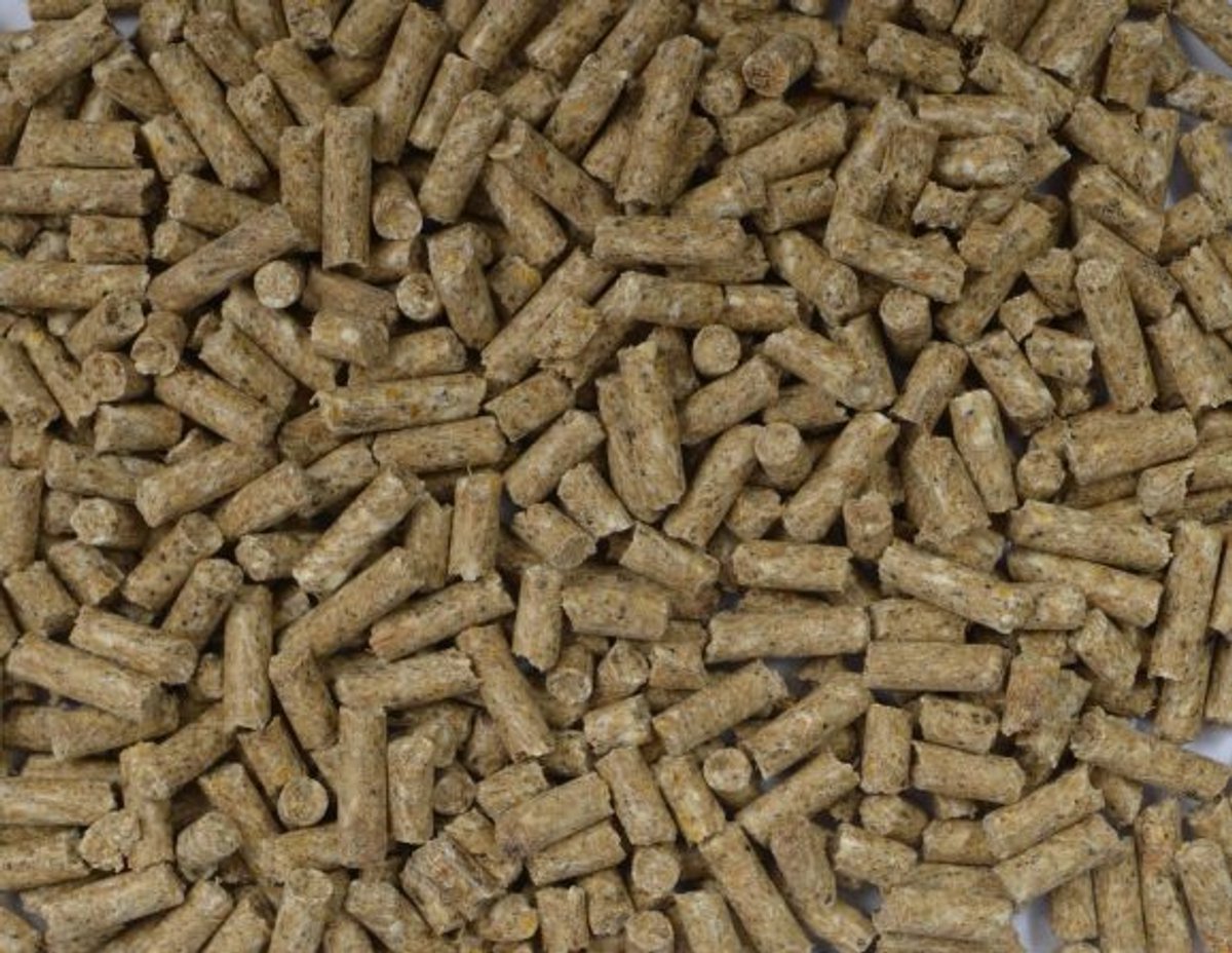 Fakkert Biologisch (vlees) varkensbrok 20KG