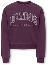 ONLY- KOGSWEAT LS CREW OVZ STAT SWT NOOS - Heren - Sweatshirt