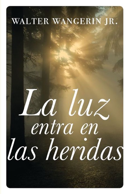 La luz entra en las heridas - cover