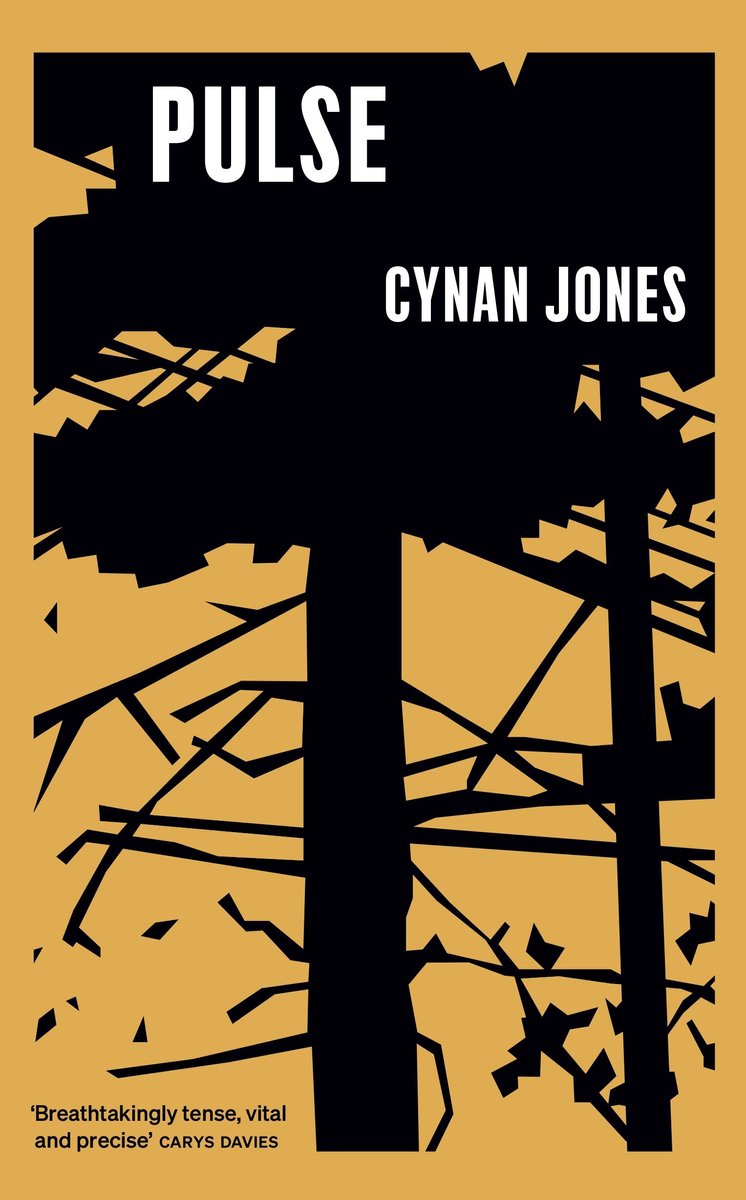 Pulse van auteur Cynan Jones