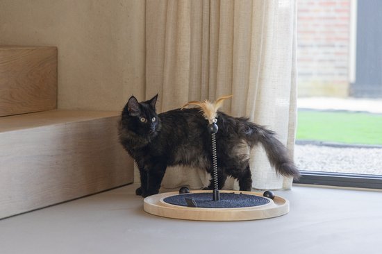 Zwarte kat bij kattenmolen met veren speeltje en ballen.