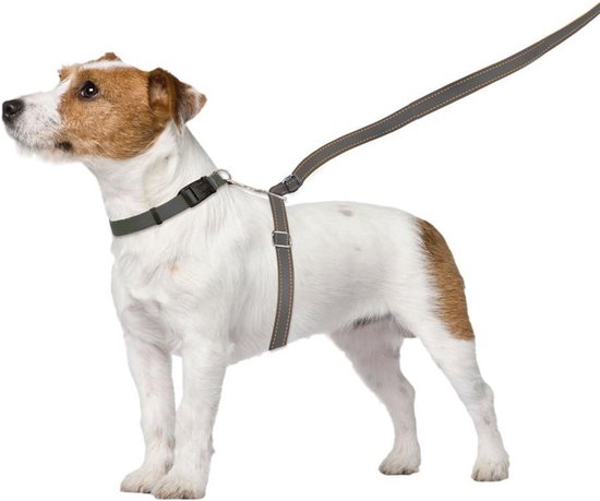 ThunderLeash
