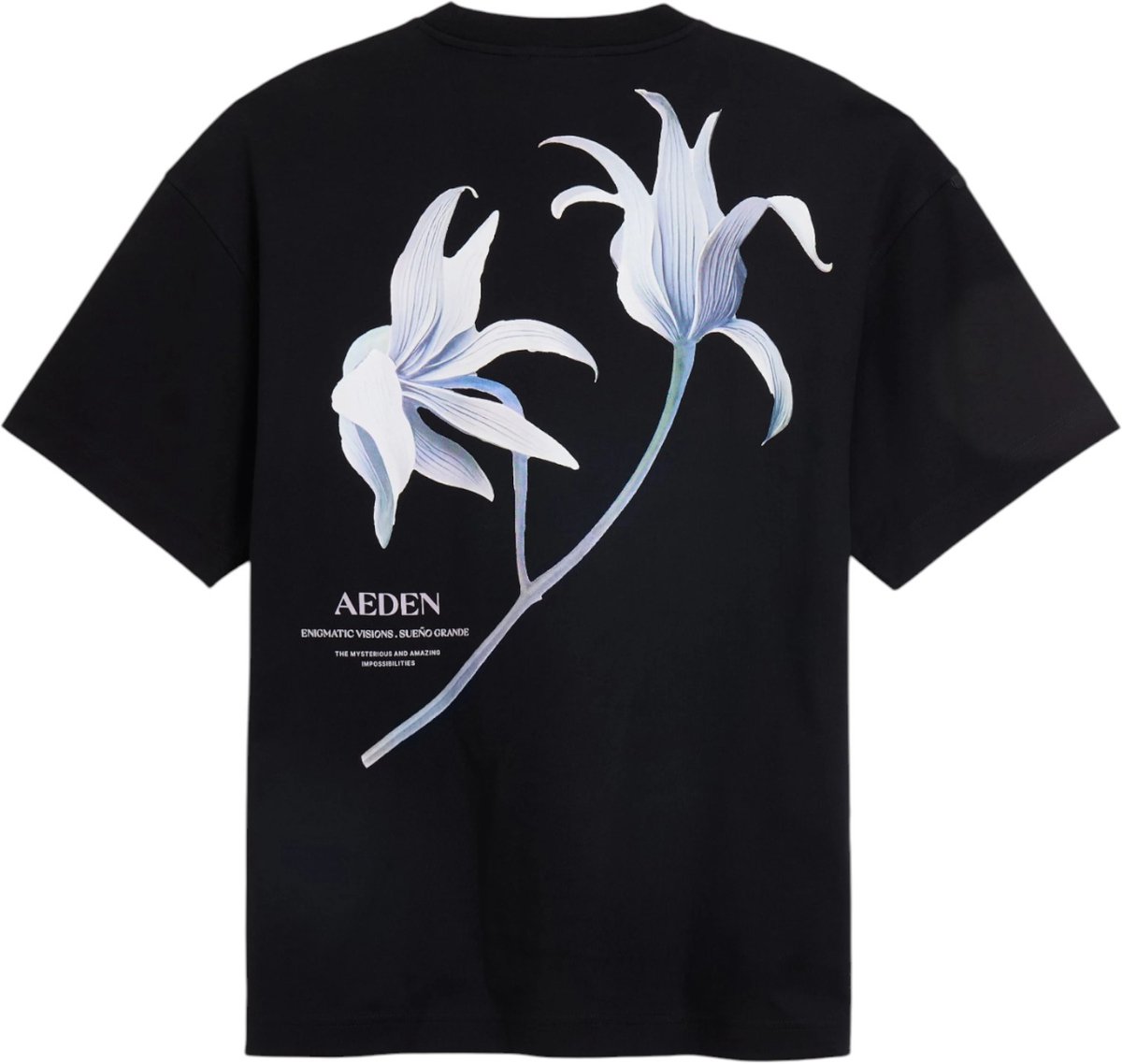 Aeden Heren T-shirt Zwart A22243132/1 Misty Tee