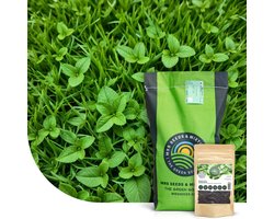 MRS Lemon Lawn - Graszaad Anti-Muggen Gazon - 2 kg voor 80 m² - Geurend gazon met citroenmelisse - Muggenwerend - Veilig voor kinderen en huisdieren